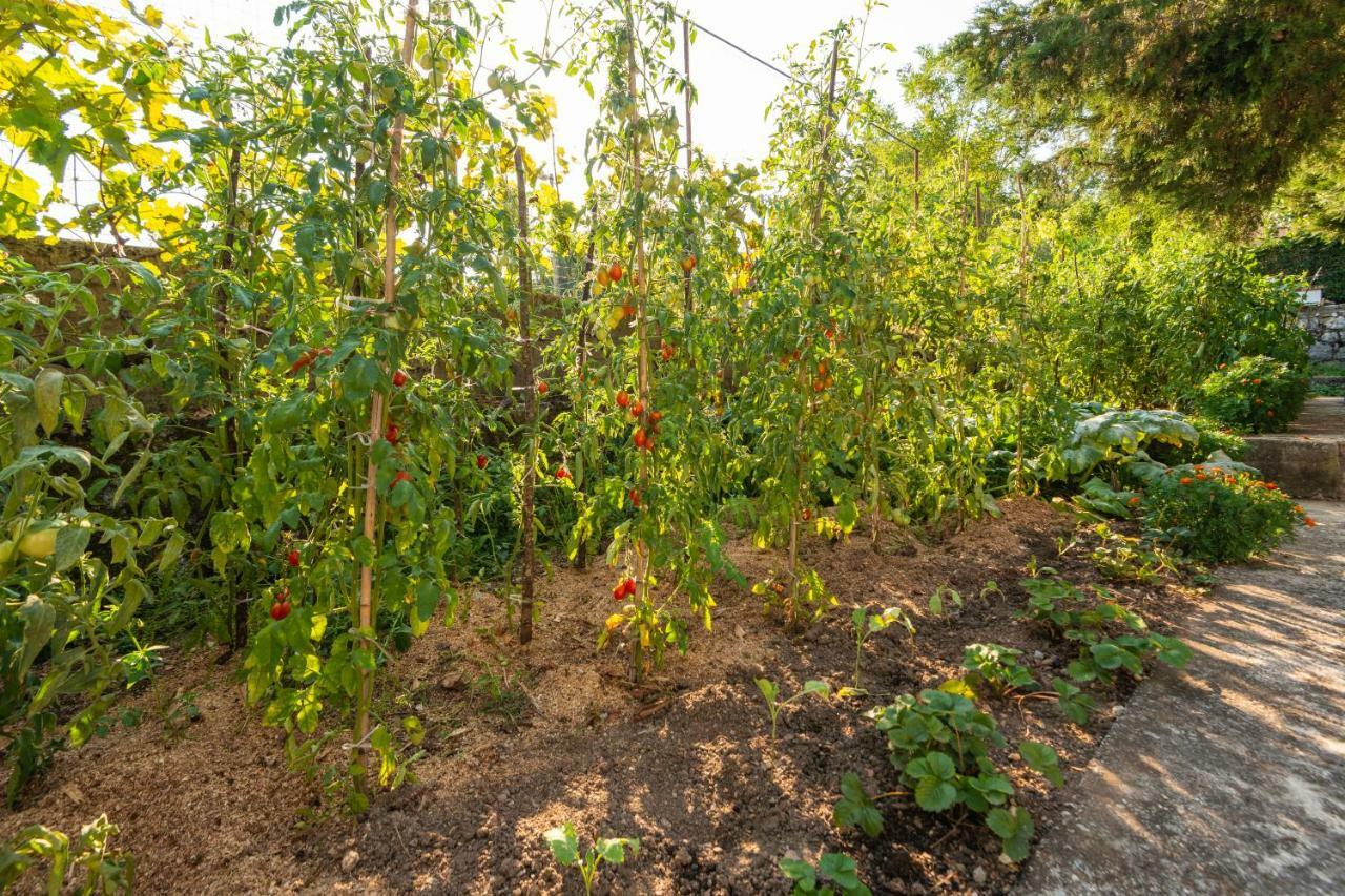 Honey Farm House Вирпазар Екстериор снимка